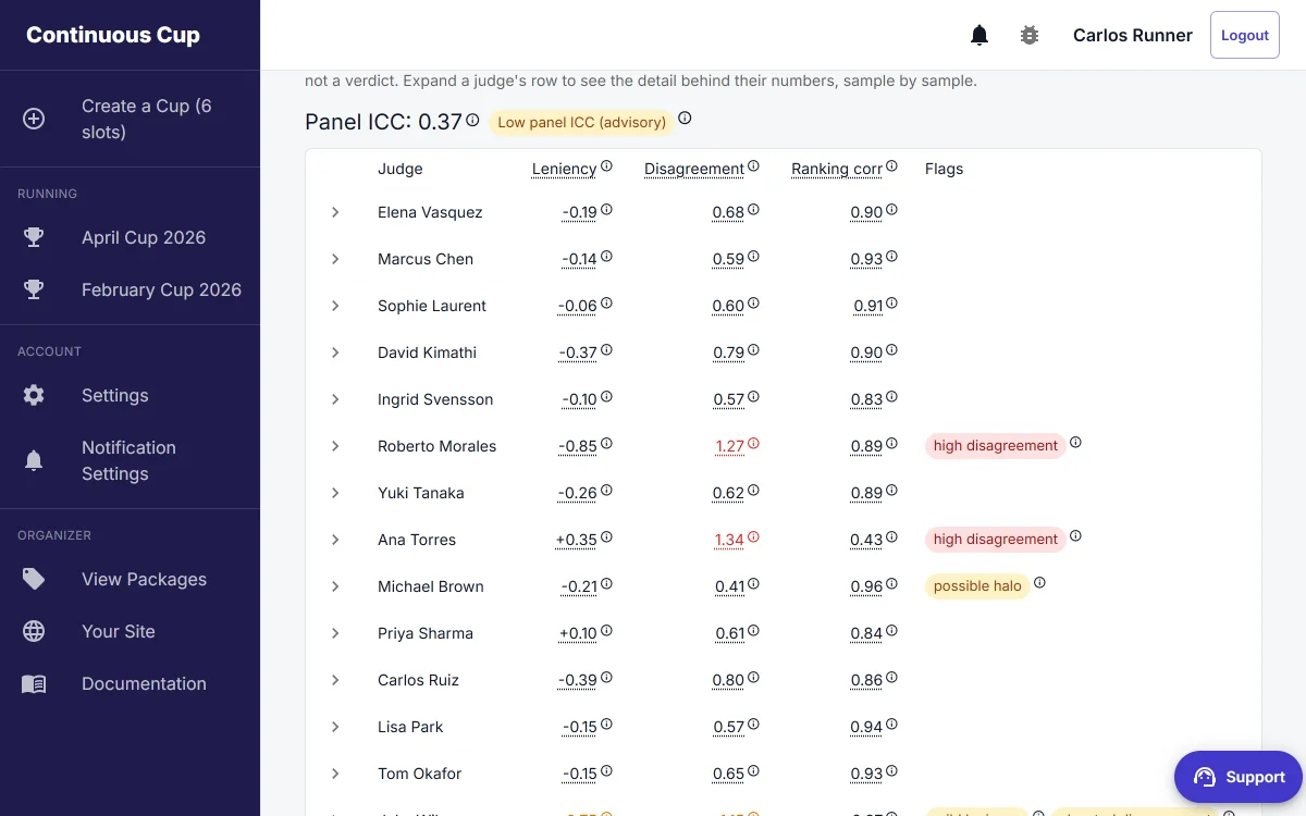 Judge report with leniency, disagreement, and ranking-correlation columns and flags